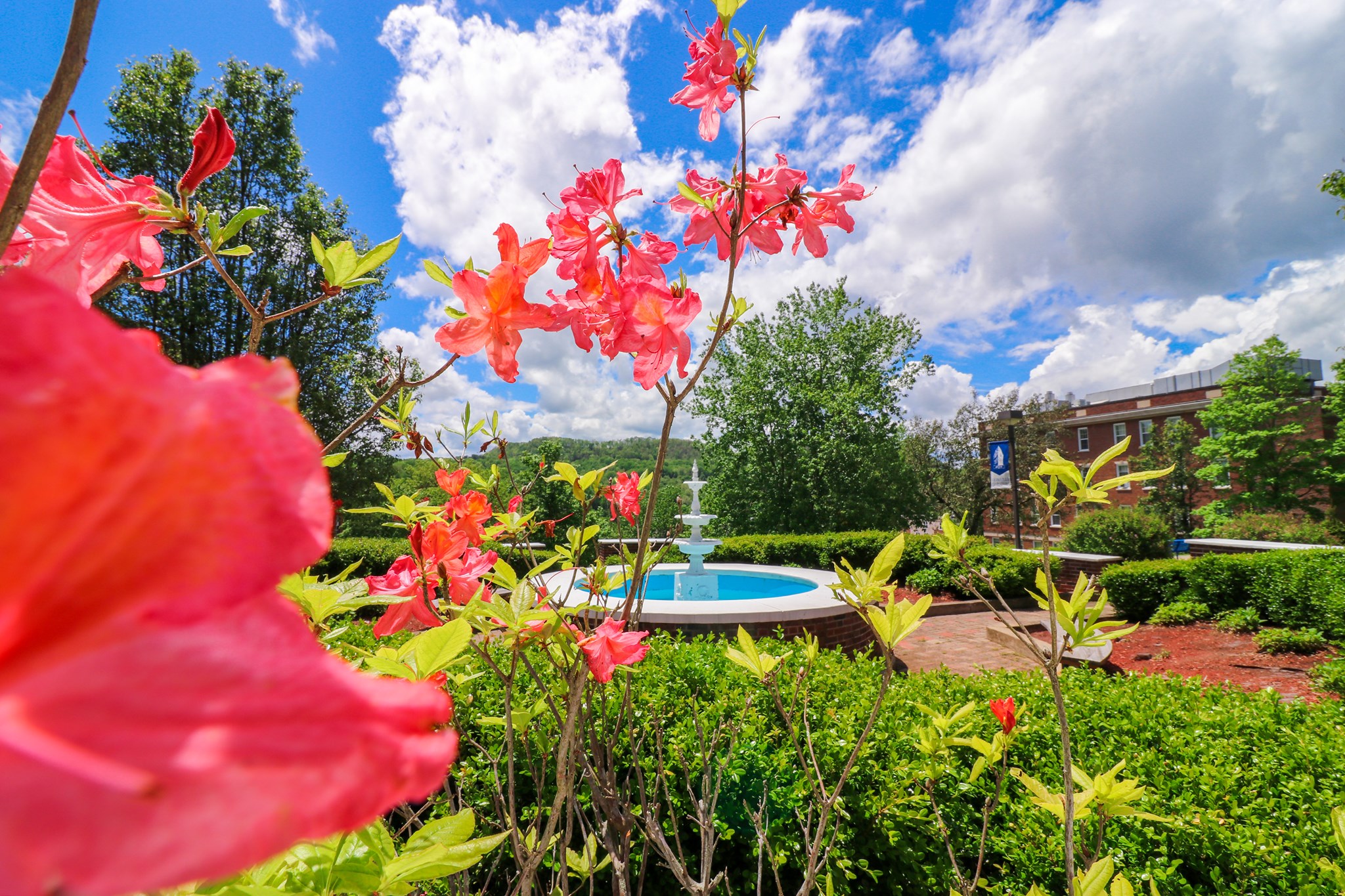The Dora Heflin Garden is in full bloom with magenta flowers framing the photo. In the center is a white, three-tiered fountain flowing into a turquoise pool shaped like a wishing well.