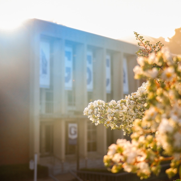 Soft green and white blossoms frame the Robert F. Kidd Library, which stands in the early morning light.