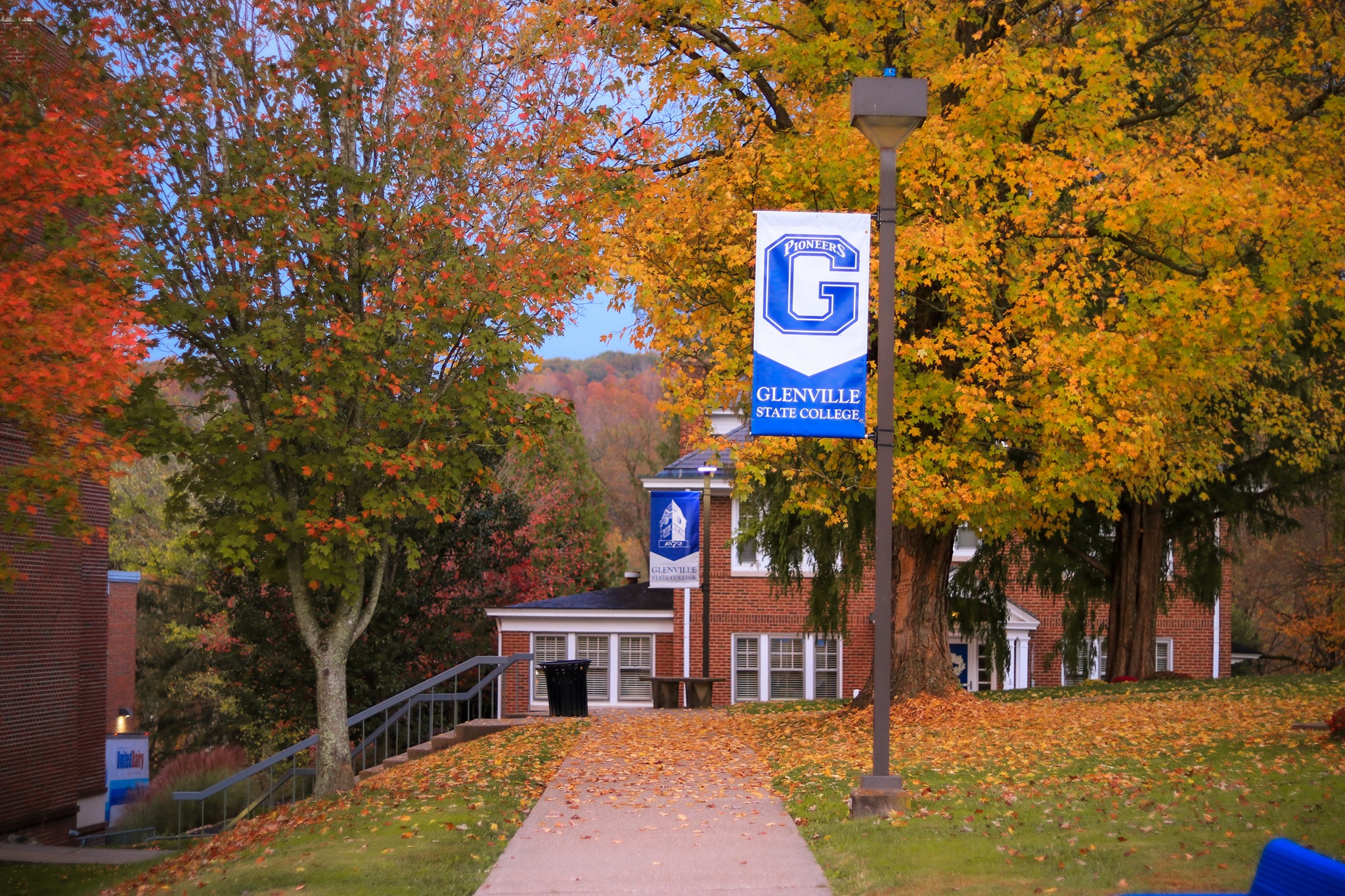 Brilliant yellow, orange, and red trees line a campus walkway which features lamp posts hung with bright blue GSC banners.