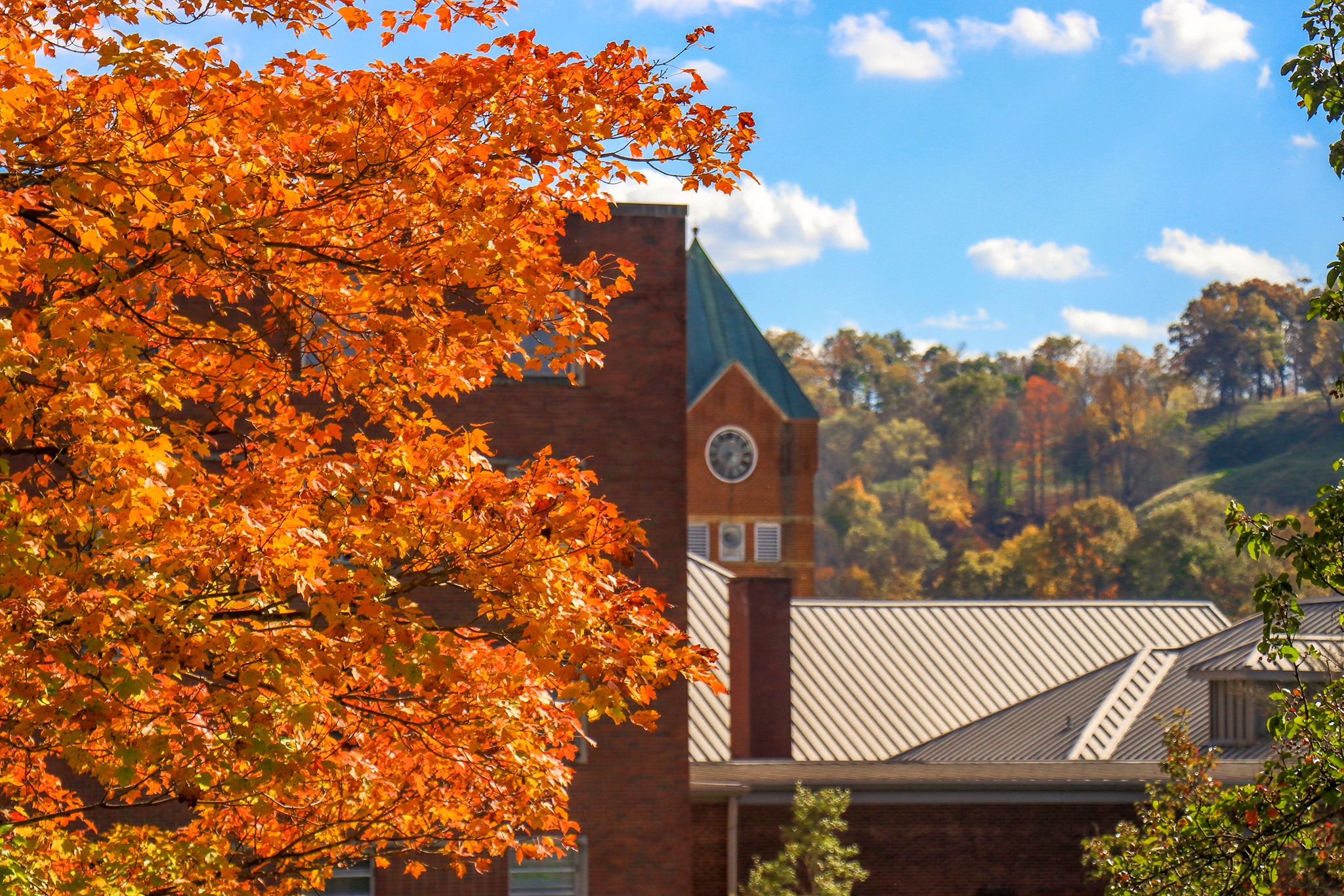 Blazing orange leaves stand in the foreground with the campus's clock tower and the surrounding autumn hills visible in the distance.