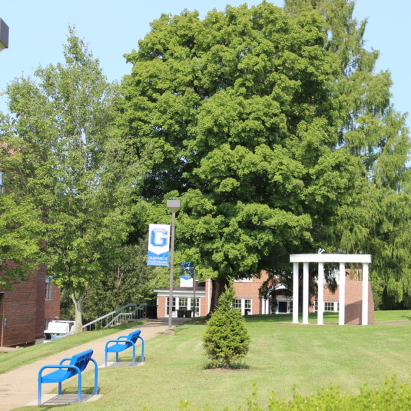 A photo of Glenville State College in summer, with several blue banners hanging from light poles and bright blue benches lining a cement pathway. Mature trees surround the area.