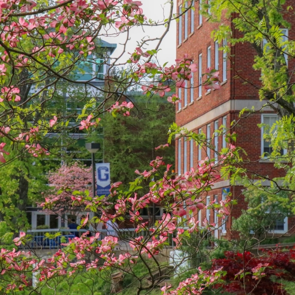 A bright blue "Glenville State College" banner peaks through the trees which are covered with pink blossoms and bright green new leaves.