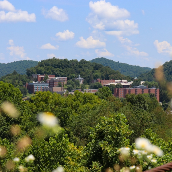 This photo of Glenville State is taken from far away, likely from the top of a nearby hill. In it, you can see the entire campus tucked in amongst the trees, which are in full leaf. Wild flowers in the foreground frame the photo.