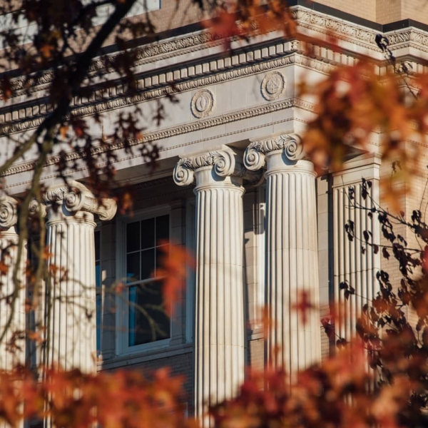 The classical columns of a marble building are framed by bright orange fall leaves