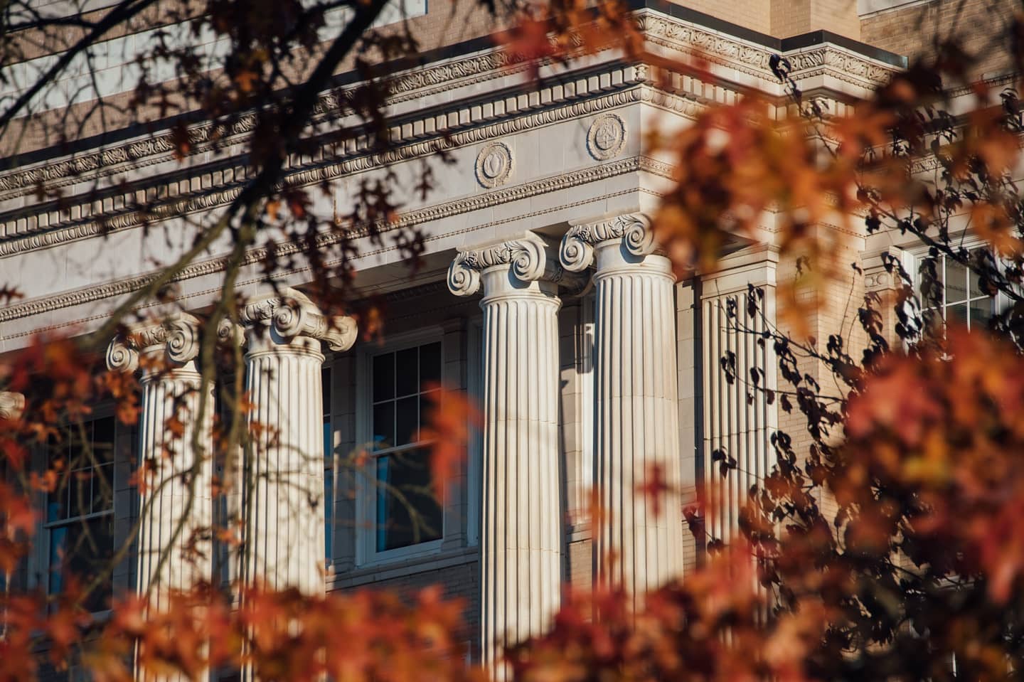 The classical columns of a marble building are framed by bright orange fall leaves