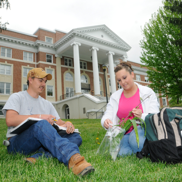 Two students sort through plant specimens on the lawn of the Greenbrier County campus