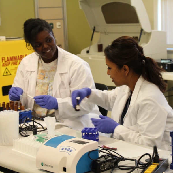 Two students process specimens in vials in a lab.