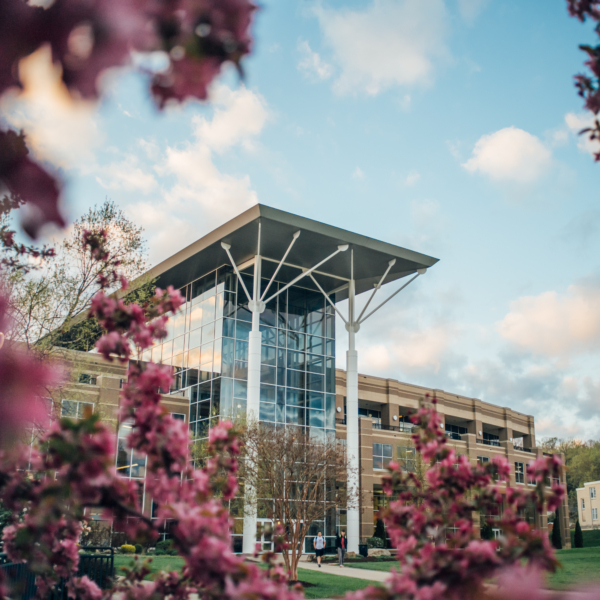 Pink tree blossoms frame a shot of the Falcon Center and the campus quad. The soft blue sky and fluffy white clouds reflect off the glass of the building.